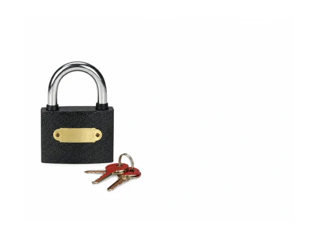 FC-6100430 Iron Padlock