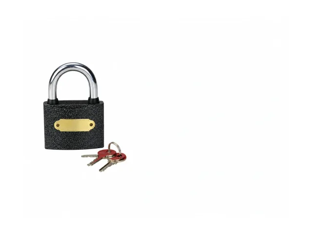 FC-6100520 Iron Padlock